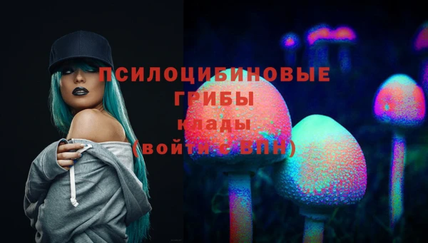 mdpv Арсеньев