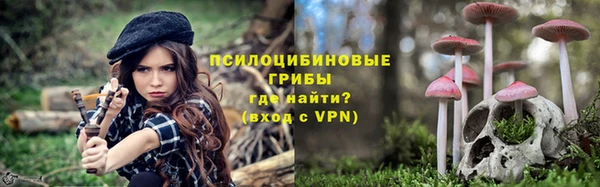 не бодяженный Медвежьегорск